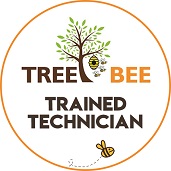 Tree Bee